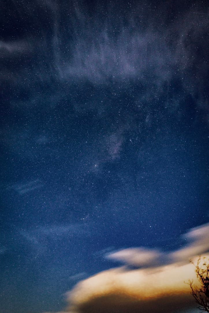 갤러리 이미지 16