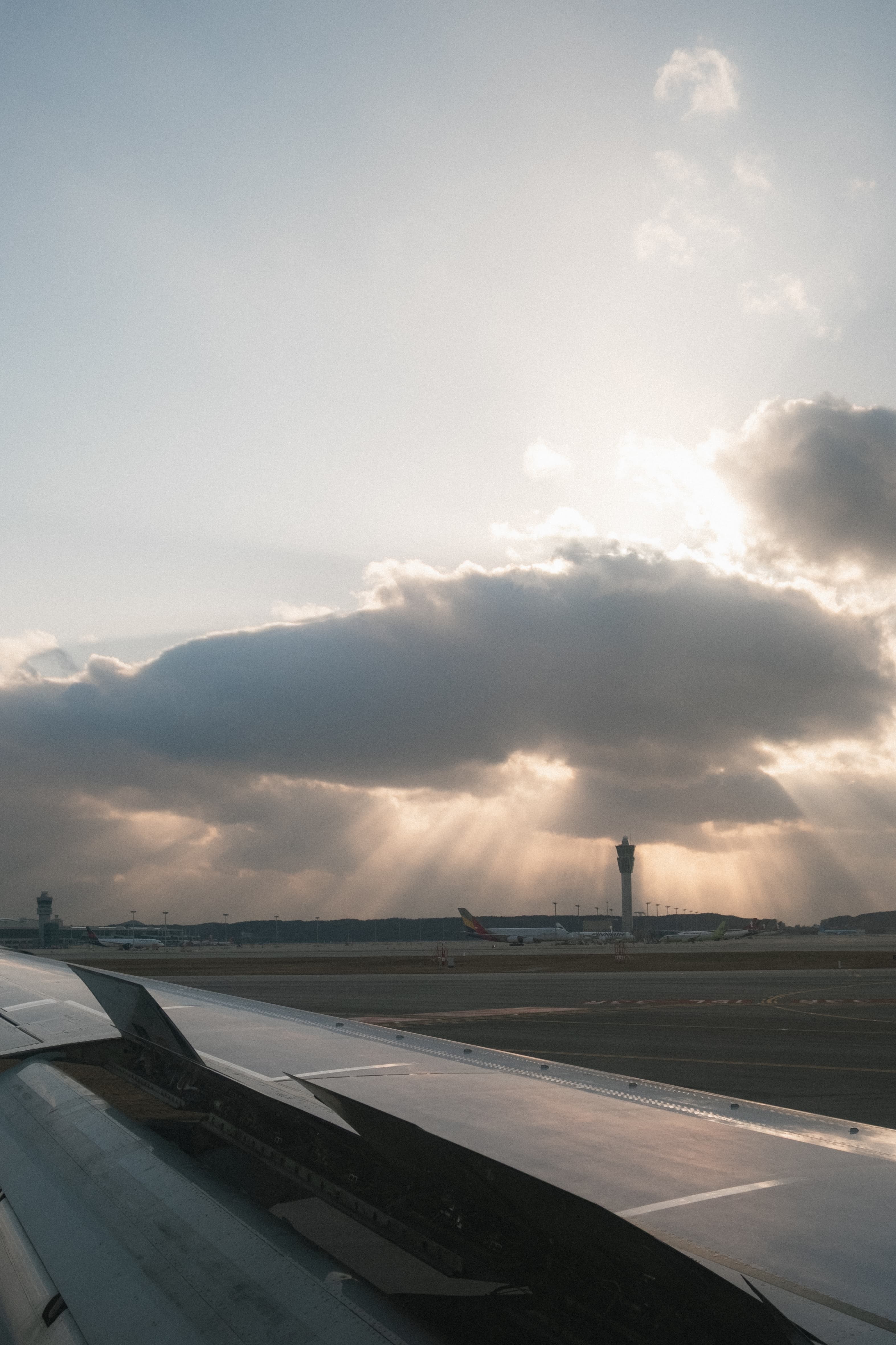 갤러리 이미지 22