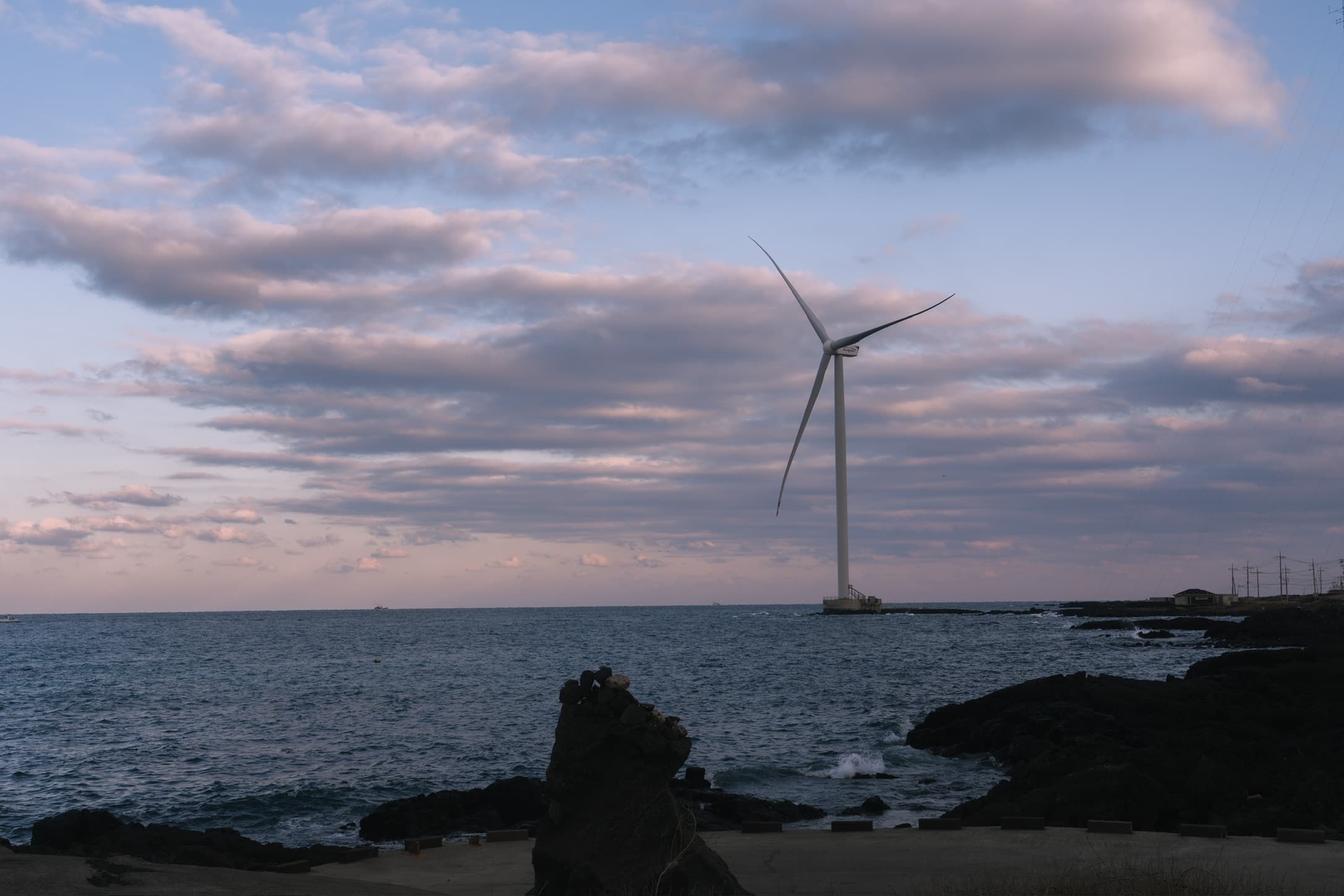 갤러리 이미지 27