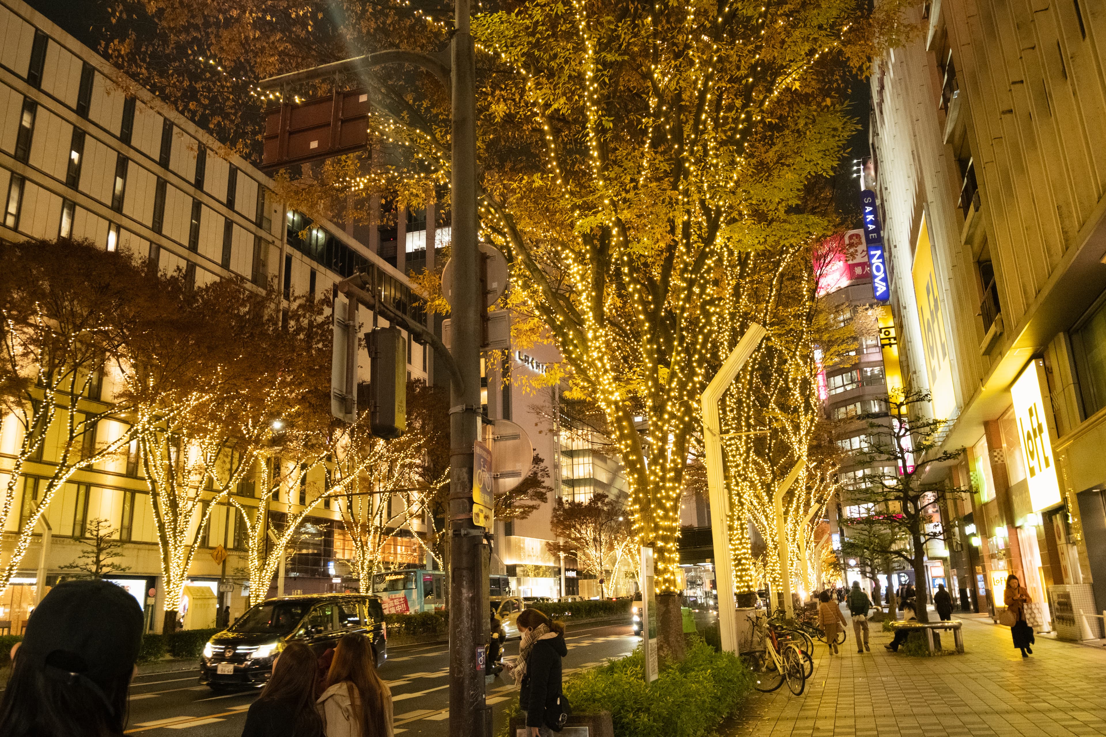 갤러리 이미지 36